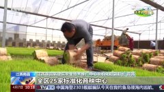 让麦田喝上“伶俐水”、百合种植新手艺