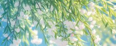 春分后的气候有什么变化 春分节气气候特